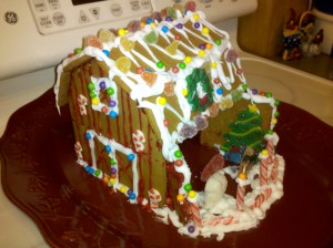 img_20101128_203007